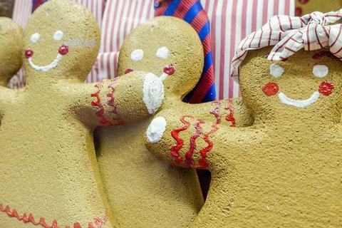 Family Day In Sydney With A Local: Private & Personalized - See Attractions 10