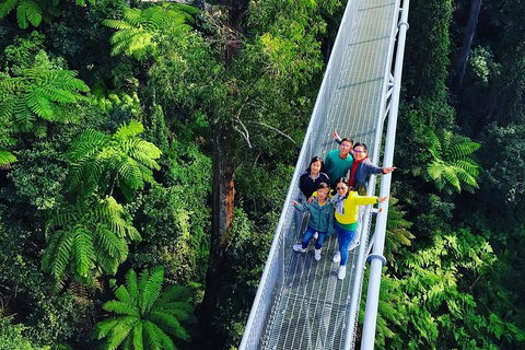 Waves Waterfalls And Wineries Full-Day Southern Highlands Private Tour - Attractions 7