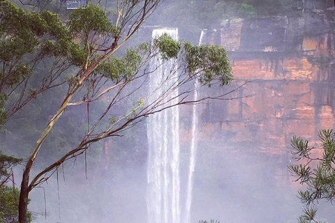 Waves Waterfalls And Wineries Full-Day Southern Highlands Private Tour - Attractions 4