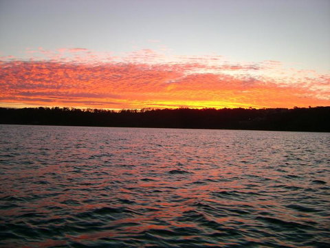 Sydney Eco Whale Watching Small Group Cruise - Attractions 19