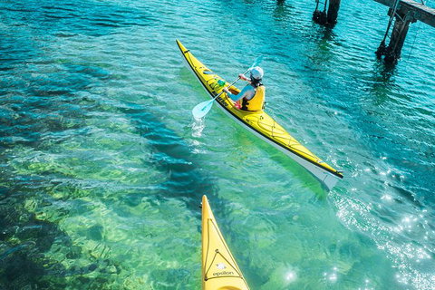 Self-Guided Sydney Middle Harbour Kayak 3 Hour Tour By Single Kayak - Attractions 1