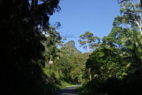 Mount Warning Day Trip From Byron Bay Including BBQ Lunch - Attractions 6