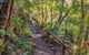Mount Warning Day Trip From Byron Bay Including BBQ Lunch - thumb 9