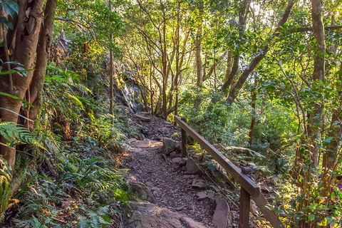 Mount Warning Day Trip From Byron Bay Including BBQ Lunch - Attractions 9