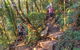 Mount Warning Day Trip From Byron Bay Including BBQ Lunch - thumb 11