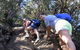 Mount Warning Day Trip From Byron Bay Including BBQ Lunch - thumb 1