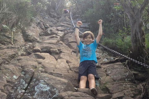 Mount Warning Day Trip From Byron Bay Including BBQ Lunch - Attractions 8