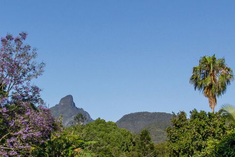 Mount Warning Day Trip From Byron Bay Including BBQ Lunch - Attractions 3