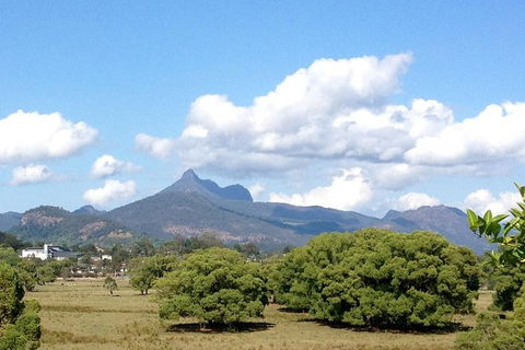 Mount Warning Day Trip From Byron Bay Including BBQ Lunch - Attractions 7