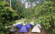 Byron Bay Surfing Lesson And Mount Warning Sunrise Climb Including Overnight Camping And BBQ Dinner - thumb 18
