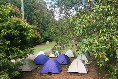 Byron Bay Surfing Lesson And Mount Warning Sunrise Climb Including Overnight Camping And BBQ Dinner - Attractions 18