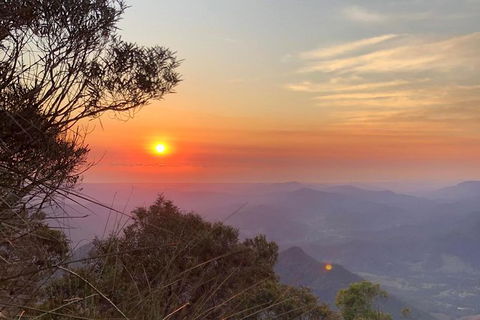 Byron Bay Surfing Lesson And Mount Warning Sunrise Climb Including Overnight Camping And BBQ Dinner - Attractions 10