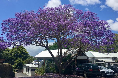 Byron Bay And Beyond Tour Including Cape Bryon Lighthouse Crystal Castle And Bangalow - Attractions 3