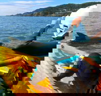 Byron Bay Combo Hinterland Tour Including Minyon Falls and Kayaking with Dolphins - Attractions