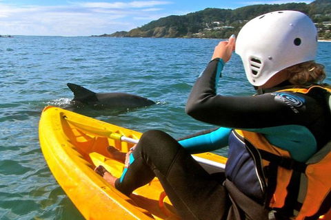 Byron Bay Combo: Hinterland Tour Including Minyon Falls And Kayaking With Dolphins - Attractions 0