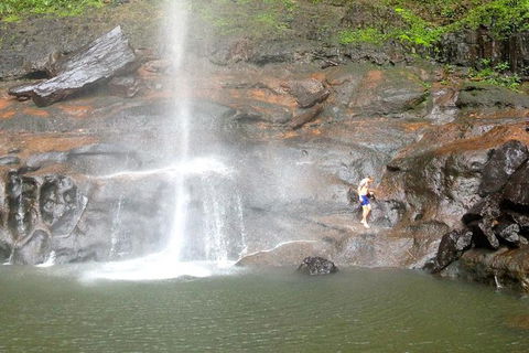 Byron Bay Combo: Hinterland Tour Including Minyon Falls And Kayaking With Dolphins - Attractions 15