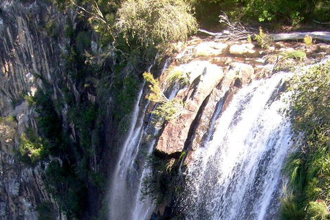Byron Bay Combo: Hinterland Tour Including Minyon Falls And Kayaking With Dolphins - Attractions 20