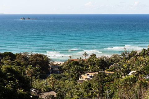 Byron Bay Combo: Hinterland Tour Including Minyon Falls And Kayaking With Dolphins - Attractions 2