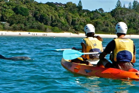 Byron Bay Combo: Hinterland Tour Including Minyon Falls And Kayaking With Dolphins - Attractions 16