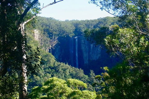 Byron Bay Combo: Hinterland Tour Including Minyon Falls And Kayaking With Dolphins - Attractions 5