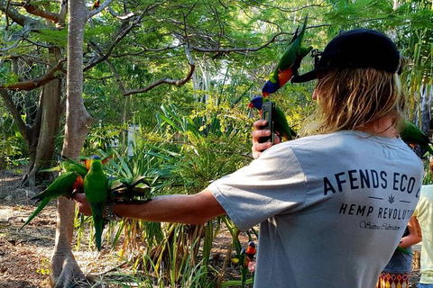 Stray Australia: Byron Bay To Cairns - Freestyle Tour - Attractions 1