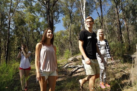 Stray Australia: Blue Mountains - Day Tour - Attractions 1