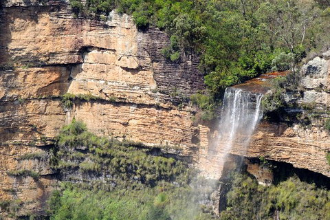 Inside The Greater Blue Mountains World Heritage - A Private Wildlife Safari Overnight - Attractions 9