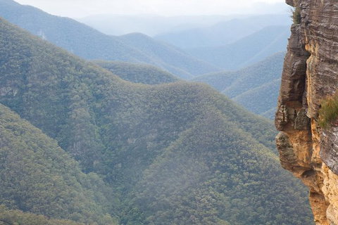 Inside The Greater Blue Mountains World Heritage - A Private Wildlife Safari Overnight - Attractions 19