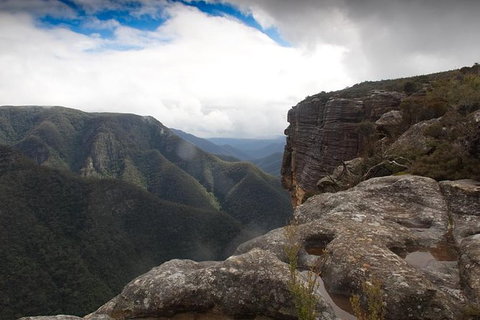 Inside The Greater Blue Mountains World Heritage - A Private Wildlife Safari Overnight - Attractions 47