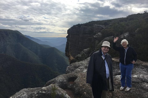 Inside The Greater Blue Mountains World Heritage - A Private Wildlife Safari Overnight - Attractions 38