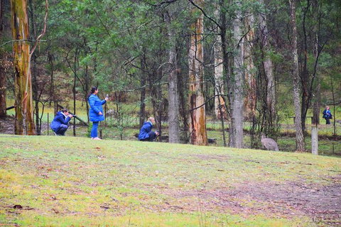 Inside The Greater Blue Mountains World Heritage - A Private Wildlife Safari Overnight - Attractions 39