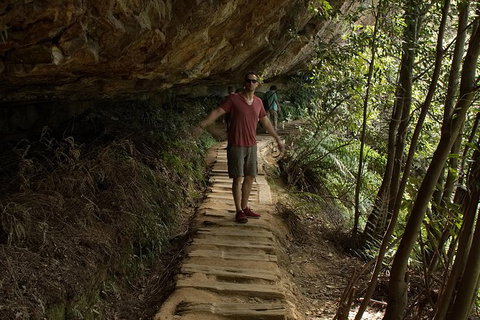 Inside The Greater Blue Mountains World Heritage - A Private Wildlife Safari Overnight - Attractions 17