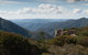 Inside The Greater Blue Mountains World Heritage - A Private Wildlife Safari Overnight - thumb 30
