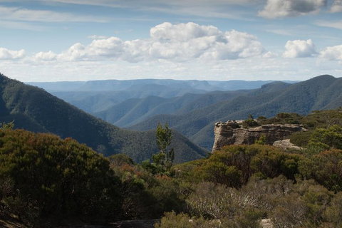 Inside The Greater Blue Mountains World Heritage - A Private Wildlife Safari Overnight - Attractions 30