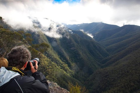 Inside The Greater Blue Mountains World Heritage - A Private Wildlife Safari Overnight - Attractions 11