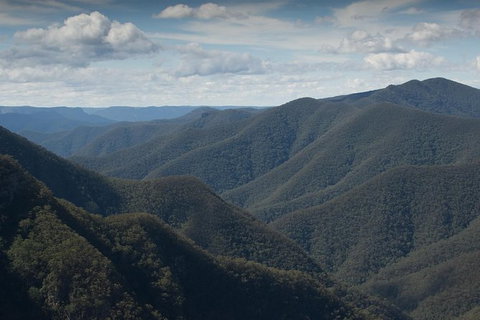 Inside The Greater Blue Mountains World Heritage - A Private Wildlife Safari Overnight - Attractions 48