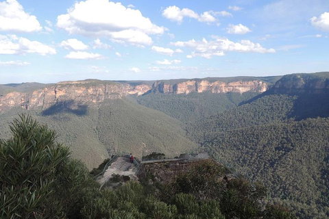 Inside The Greater Blue Mountains World Heritage - A Private Wildlife Safari Overnight - Attractions 24