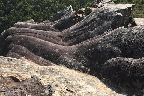 Inside The Greater Blue Mountains World Heritage - A Private Wildlife Safari Overnight - Attractions 28