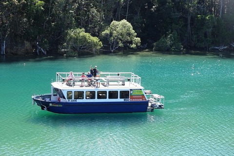 Brunswick Heads Rainforest Eco-Cruise - Attractions 0