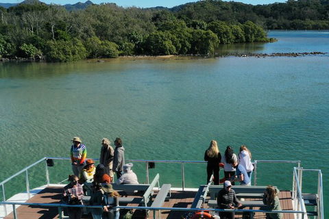 Brunswick Heads Rainforest Eco-Cruise - Attractions 8