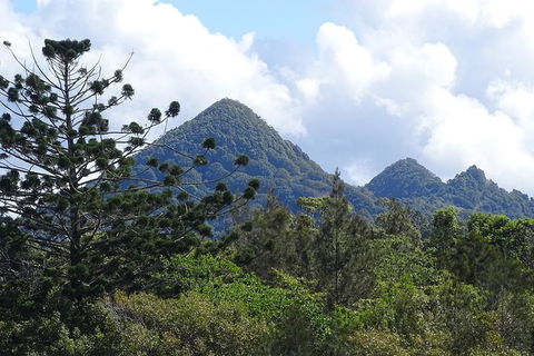 Brunswick Heads Rainforest Eco-Cruise - Attractions 3