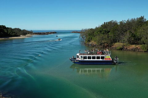 Brunswick Heads Rainforest Eco-Cruise - Attractions 2