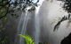Minyon Falls Rainforest Walk - thumb 0