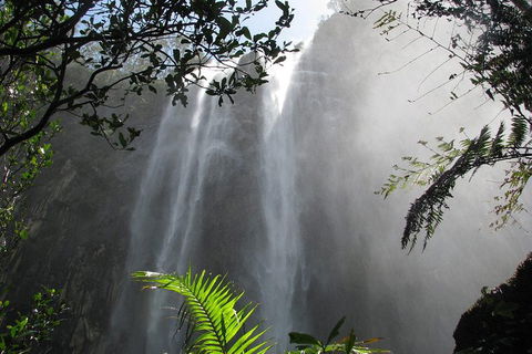 Minyon Falls Rainforest Walk - Attractions 0