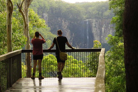 Minyon Falls Rainforest Walk - Attractions 5