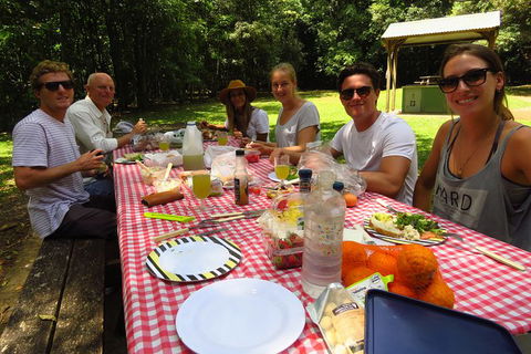 Byron Bay Wildlife Safari - Attractions 8