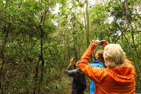 Byron Bay Wildlife Safari - Attractions 12