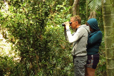 Byron Bay Wildlife Safari - Attractions 10