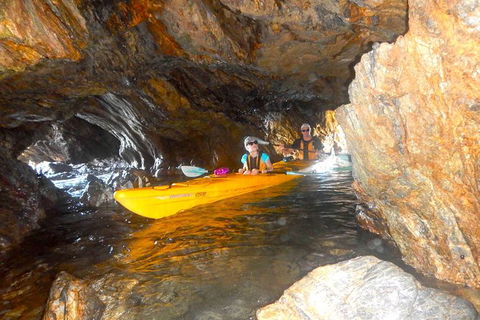 Whale Watching By Sea Kayak In Batemans Bay - Attractions 4