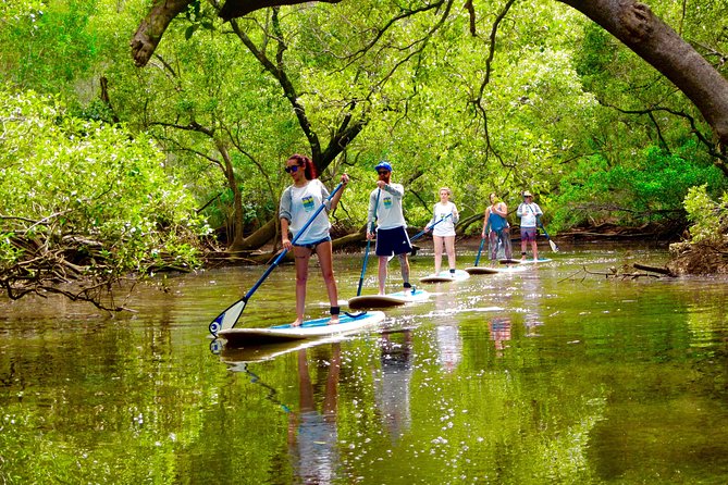 Myocum NSW Attractions